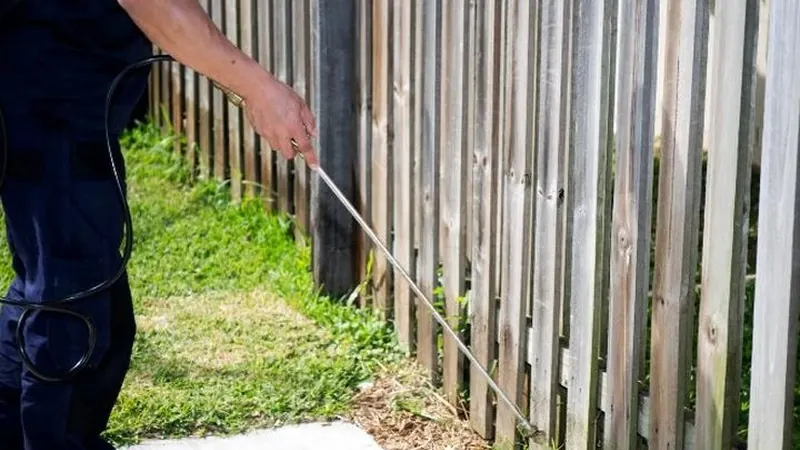 Tratamiento de la vegetación de un jardín contra el mosquito tigre