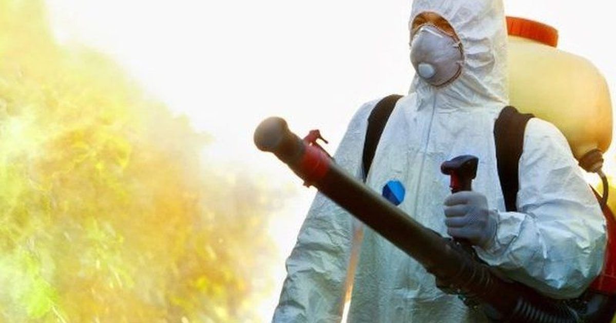 Técnico con equipo de protección junto a un pino tratado contra la procesionaria
