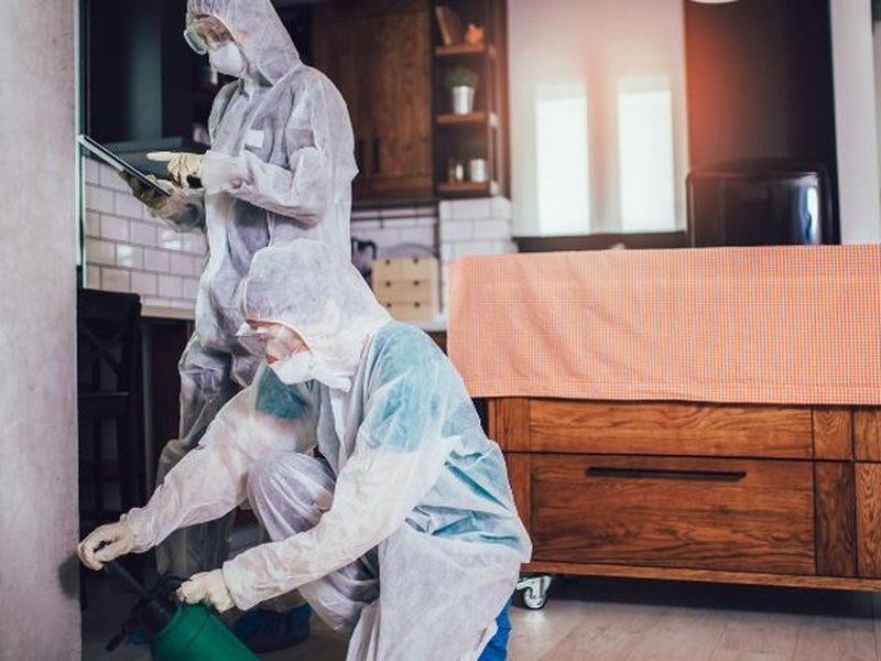 Dos técnicos con EPI: uno revisa los bajos del mueble y otro registra el tratamiento en la tableta