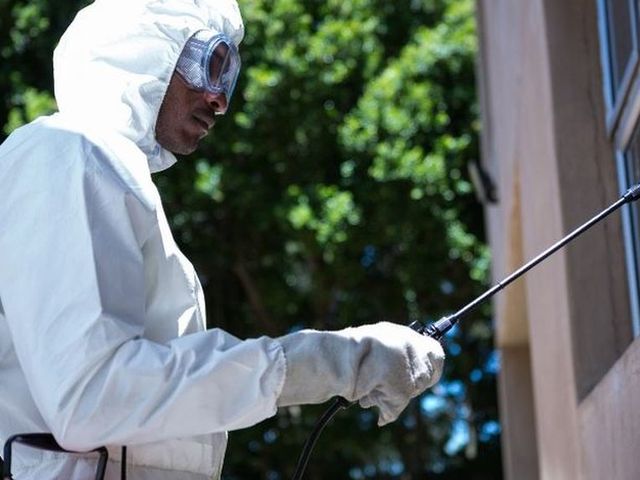 Técnico con buzo y gafas tratando junto al arbolado de una vivienda