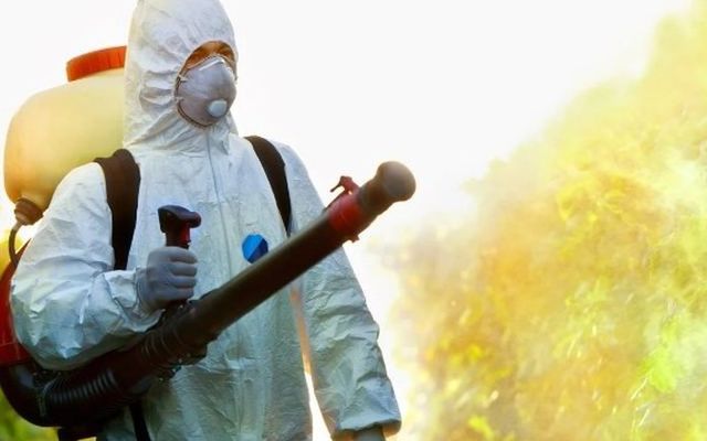 Técnico con EPI nebulizando sobre arbolado