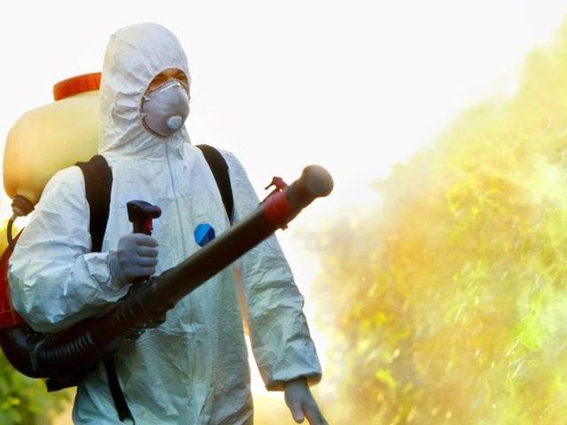 Técnico con EPI nebulizando tratamiento sobre el arbolado contra la procesionaria del pino en Córdoba