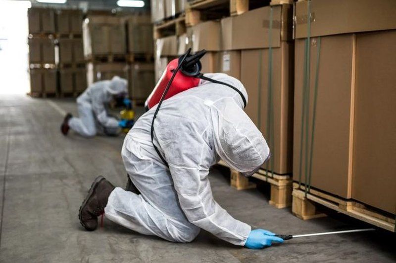 Técnico con buzo de protección tratando un almacén de Baena, Córdoba