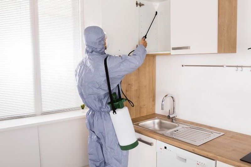 Técnica desinfectando los armarios de una cocina en Cabra, Córdoba