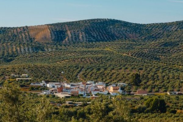 Pueblo blanco entre olivares en la provincia de Córdoba